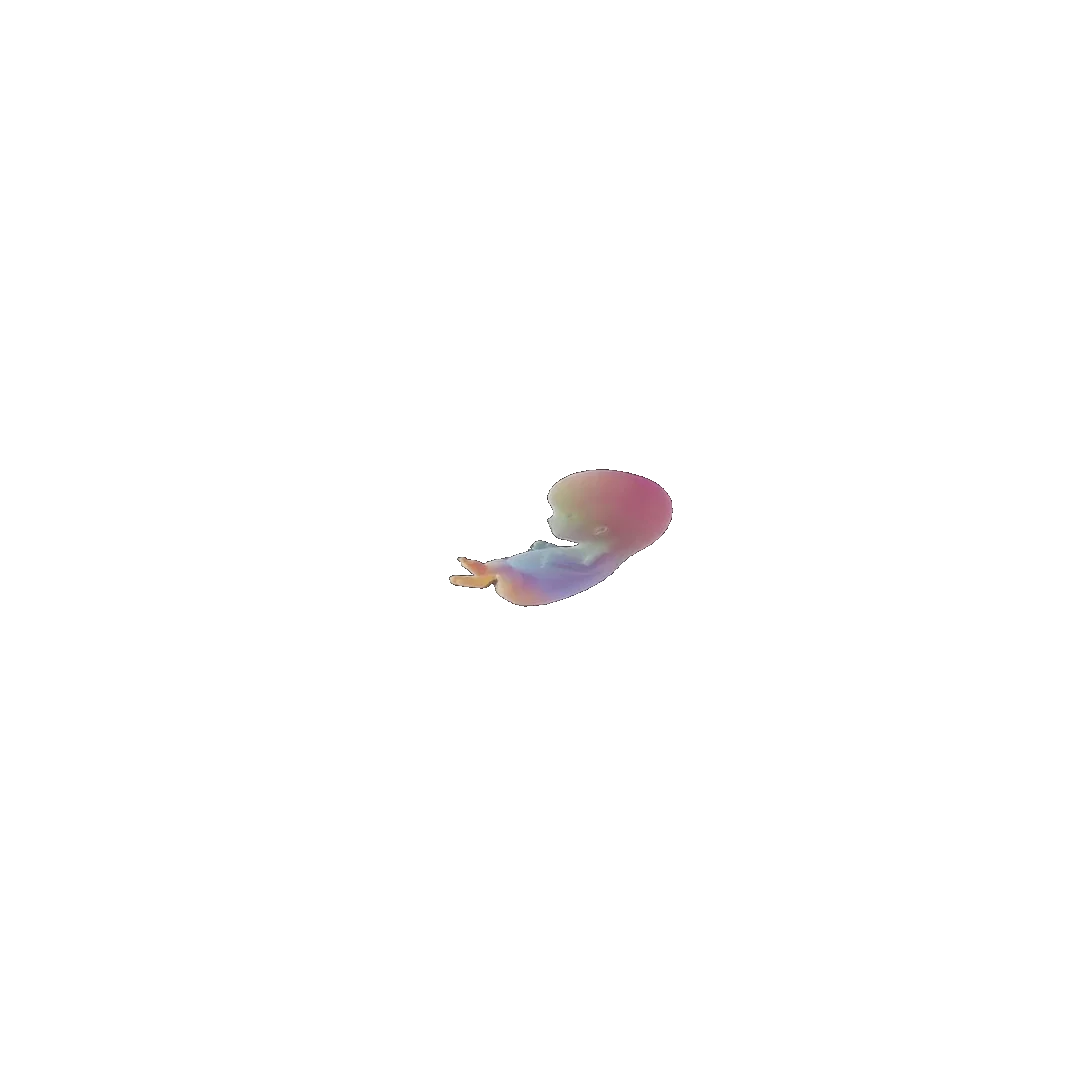 pregnancy tracker frame 29