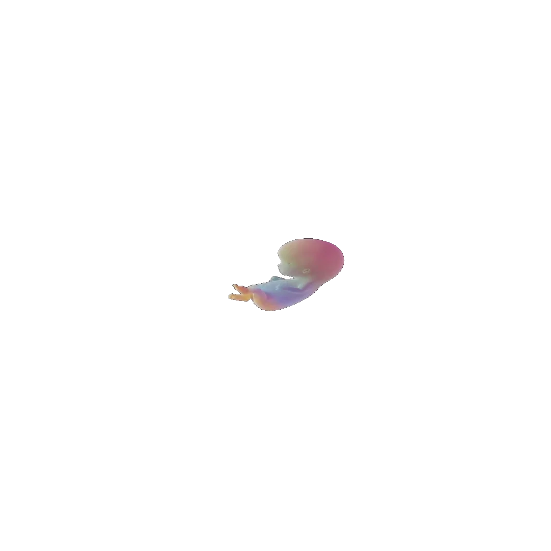 pregnancy tracker frame 31