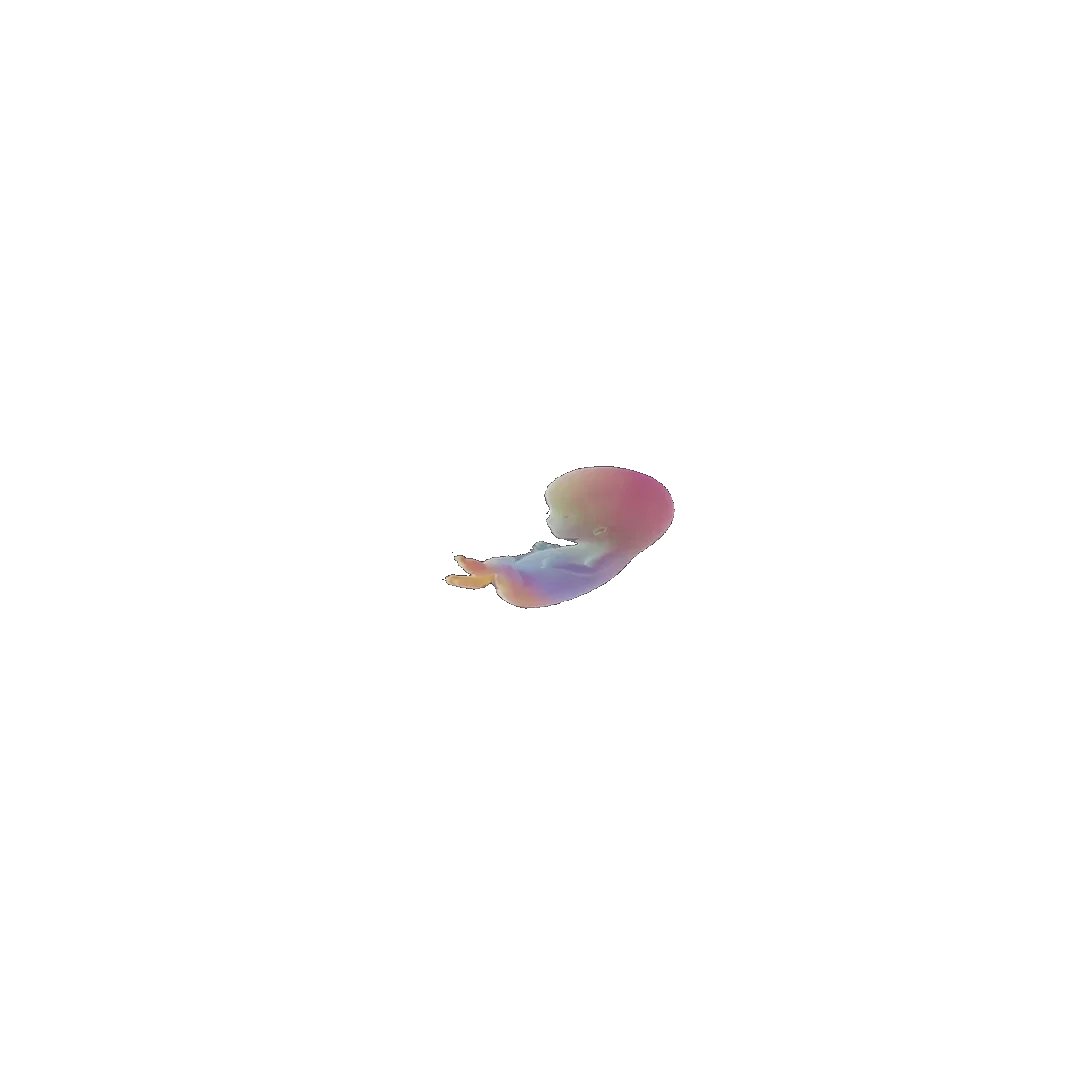 pregnancy tracker frame 32