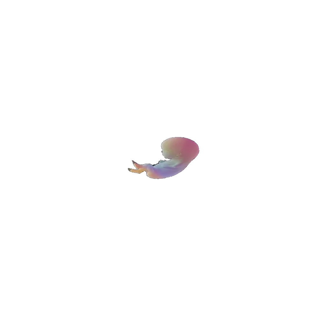 pregnancy tracker frame 34