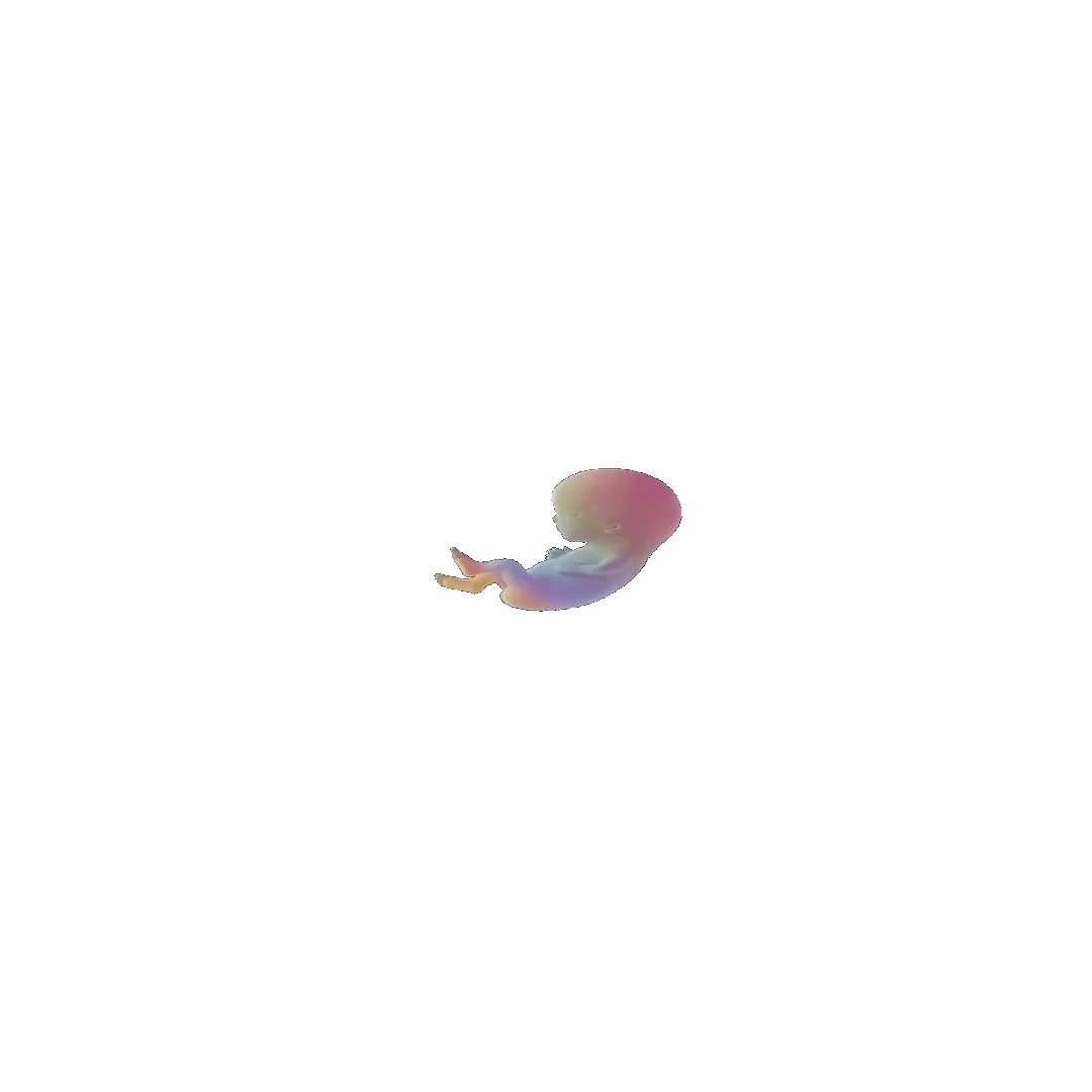 pregnancy tracker frame 35