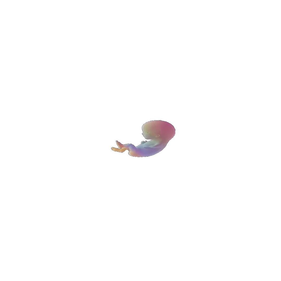 pregnancy tracker frame 36