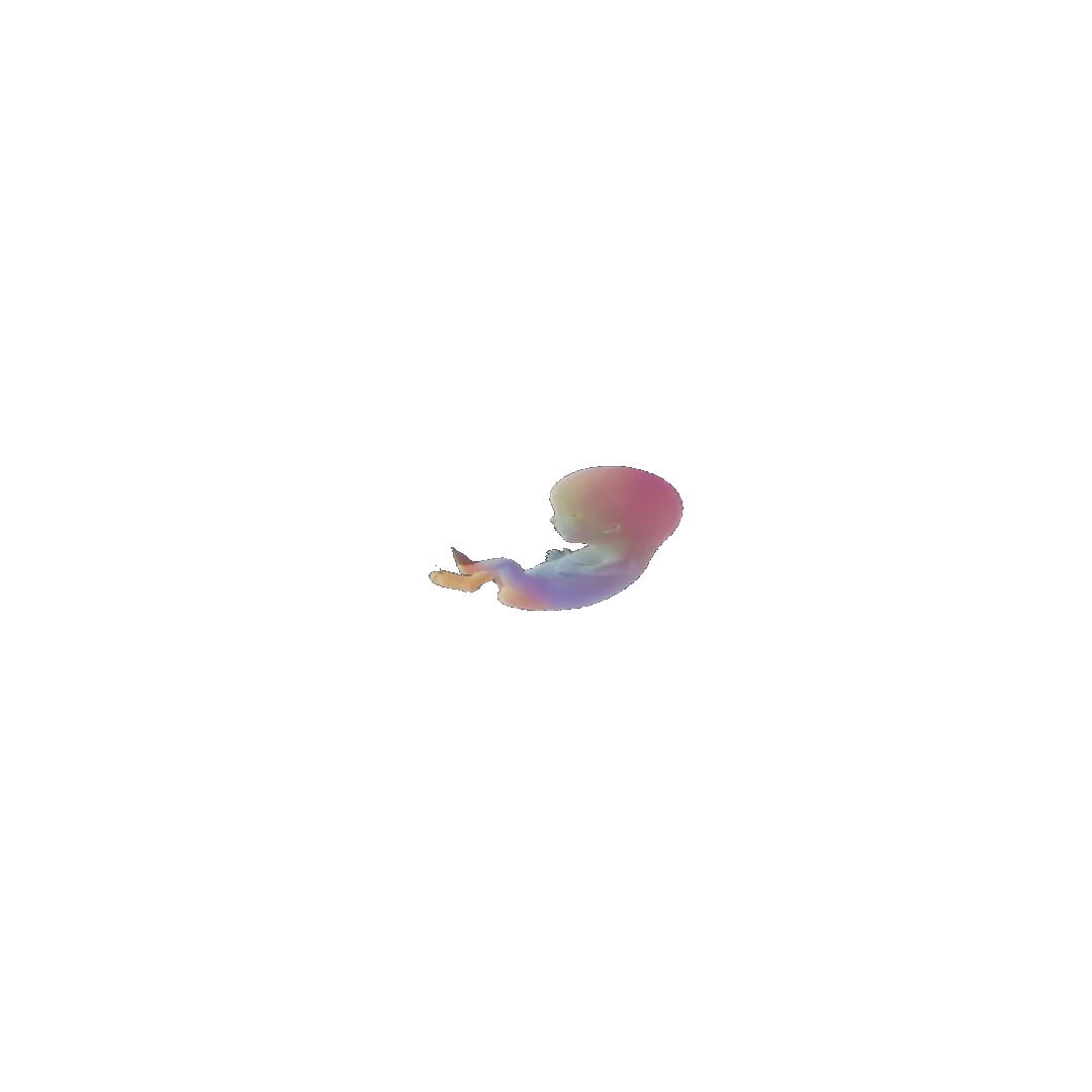 pregnancy tracker frame 37