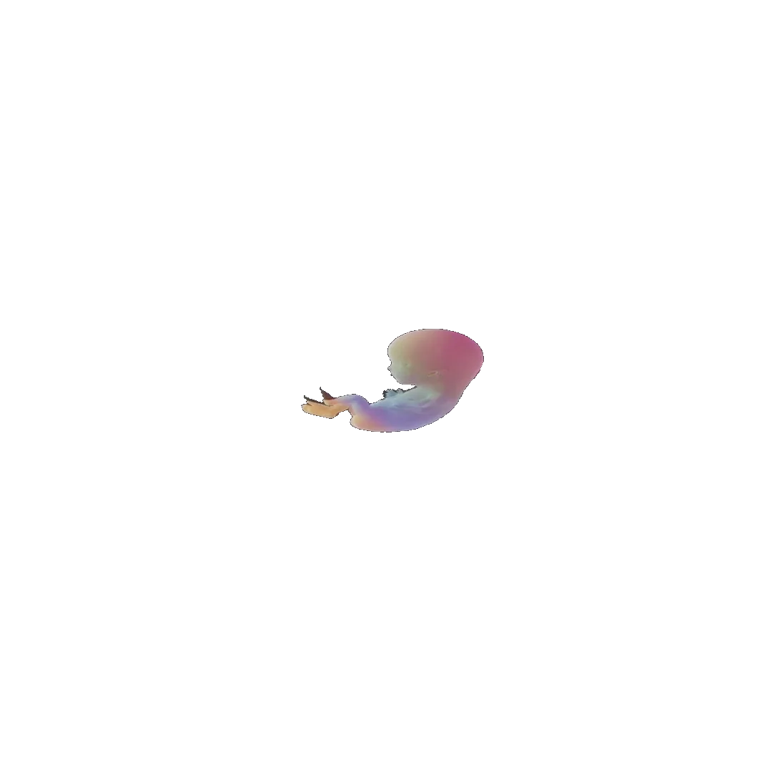 pregnancy tracker frame 38