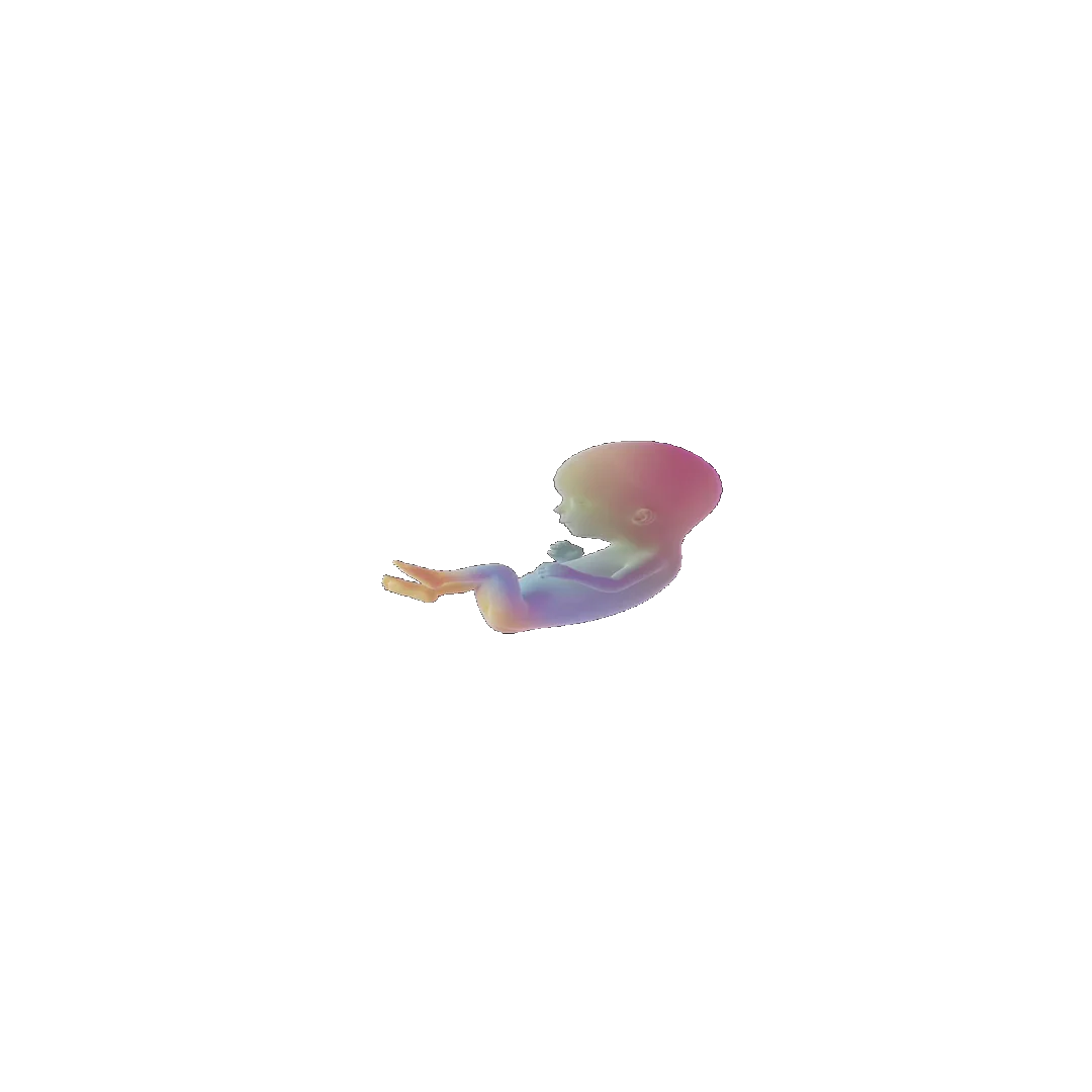 pregnancy tracker frame 51
