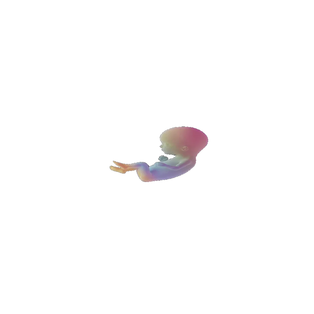 pregnancy tracker frame 52