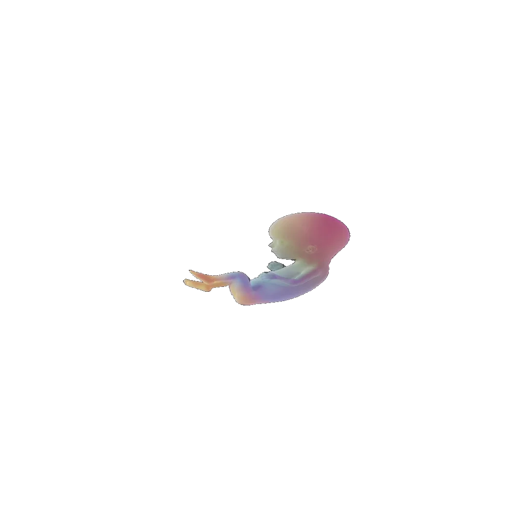 pregnancy tracker frame 53