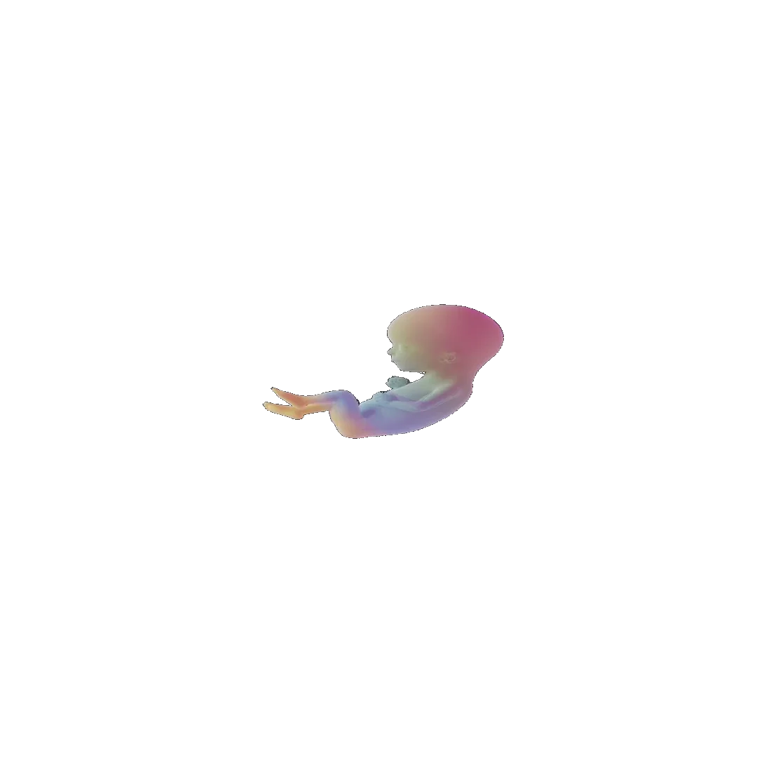pregnancy tracker frame 54