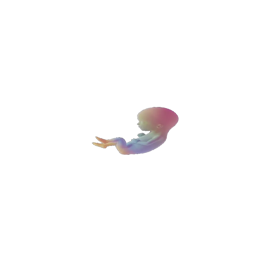 pregnancy tracker frame 56