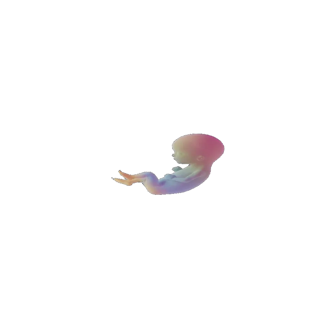 pregnancy tracker frame 57