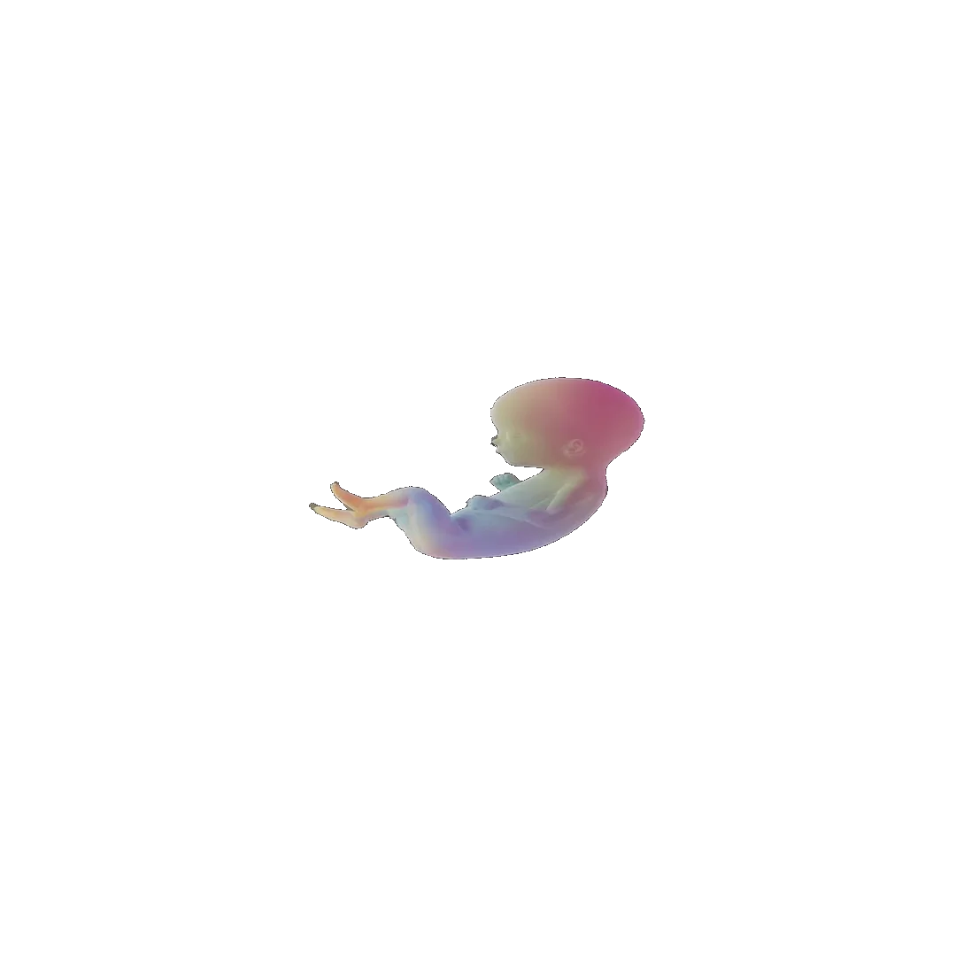 pregnancy tracker frame 59