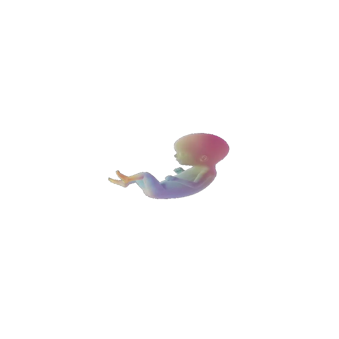 pregnancy tracker frame 60
