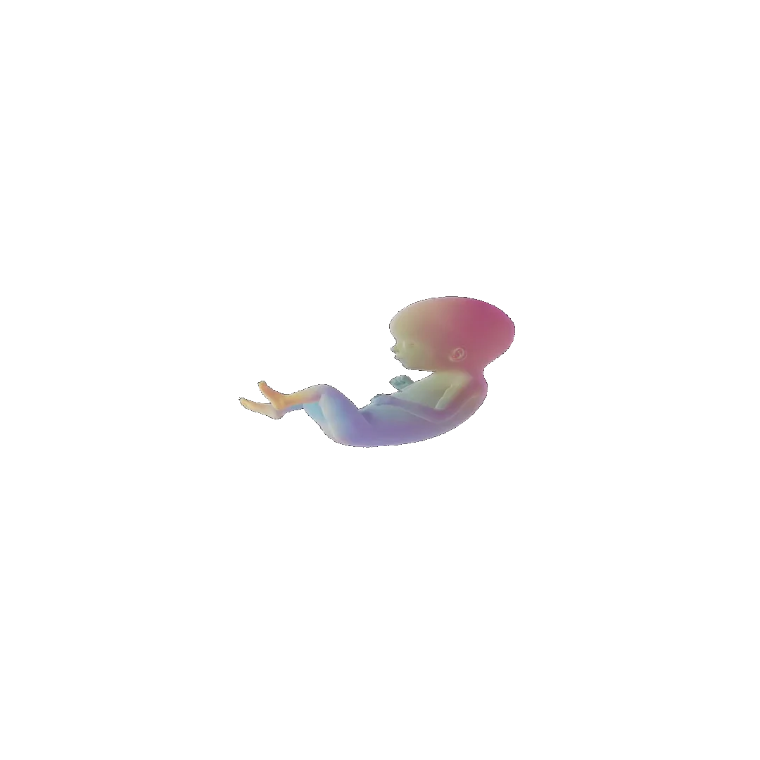 pregnancy tracker frame 62