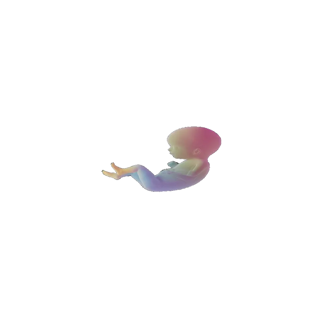 pregnancy tracker frame 64