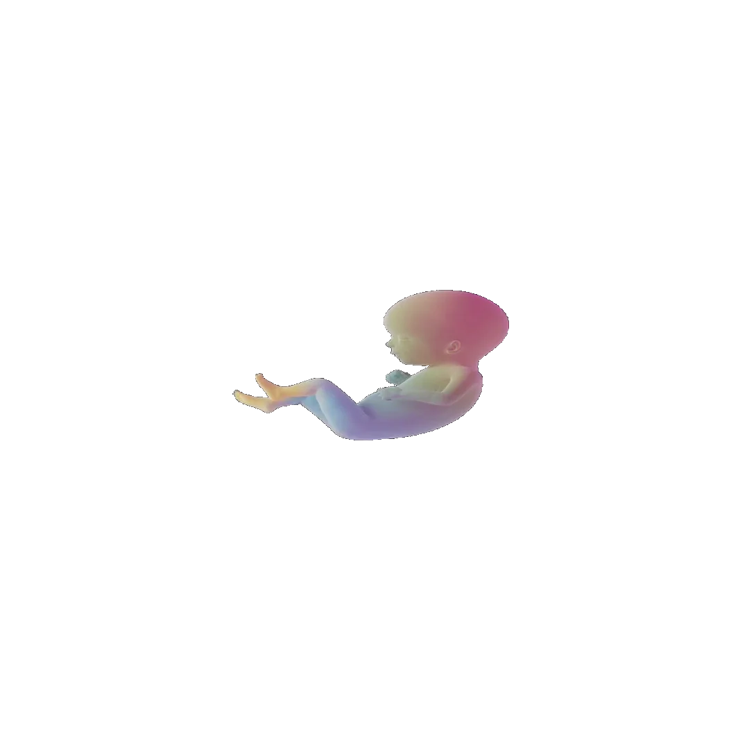 pregnancy tracker frame 65