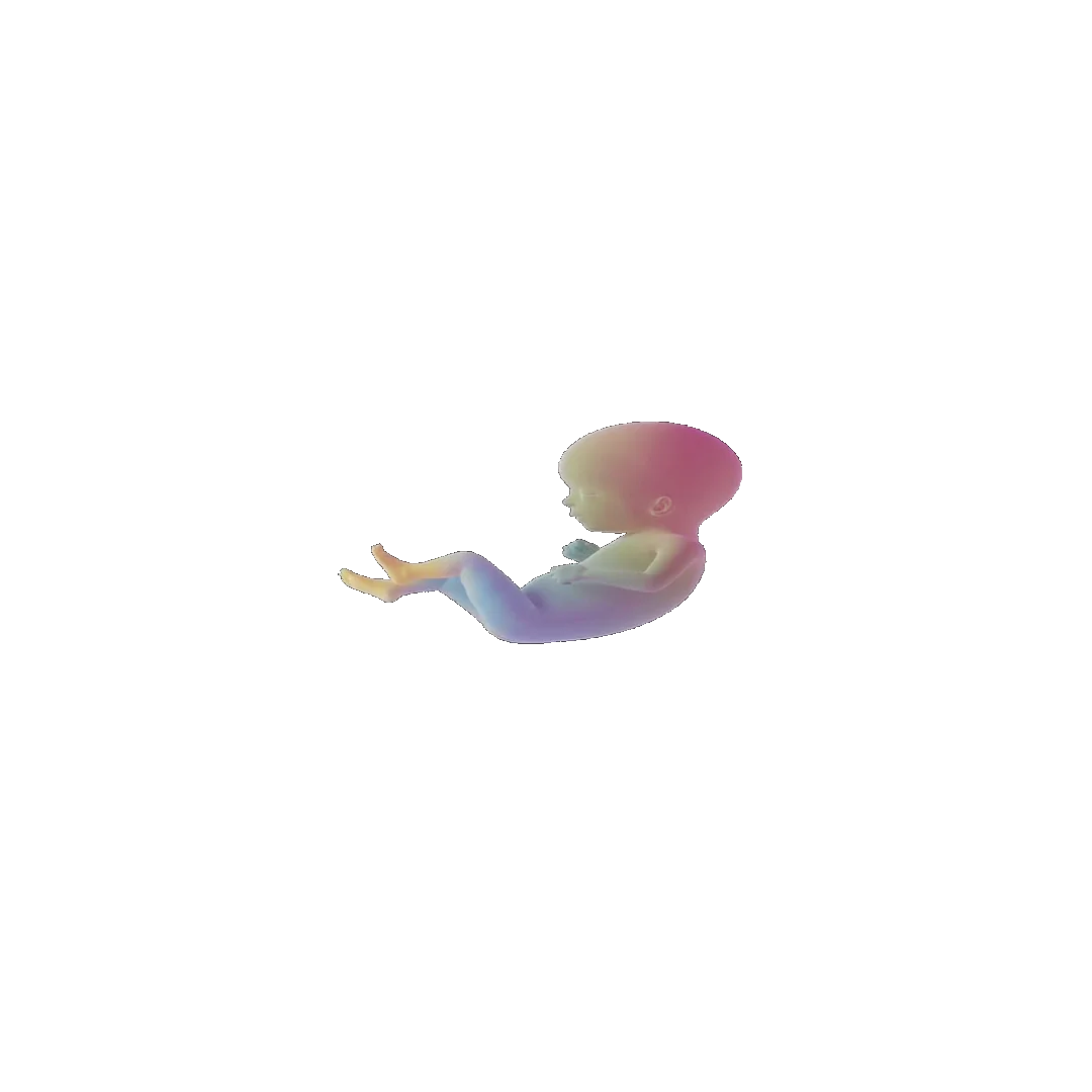 pregnancy tracker frame 66