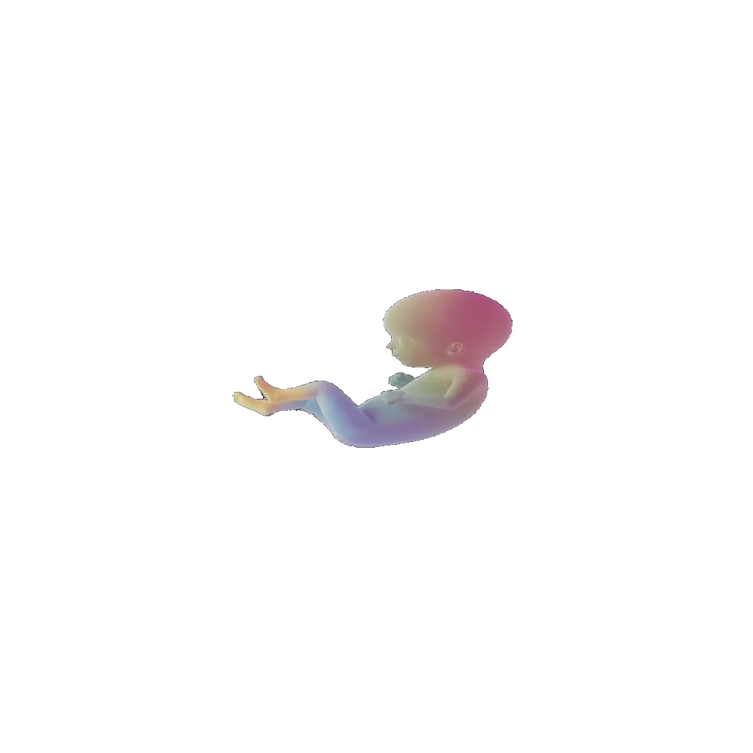pregnancy tracker frame 67