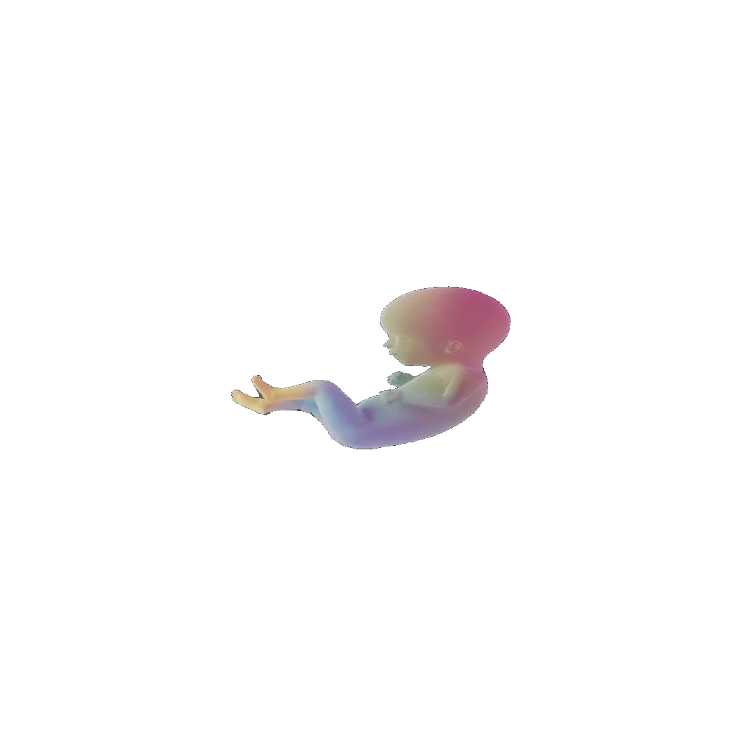 pregnancy tracker frame 68