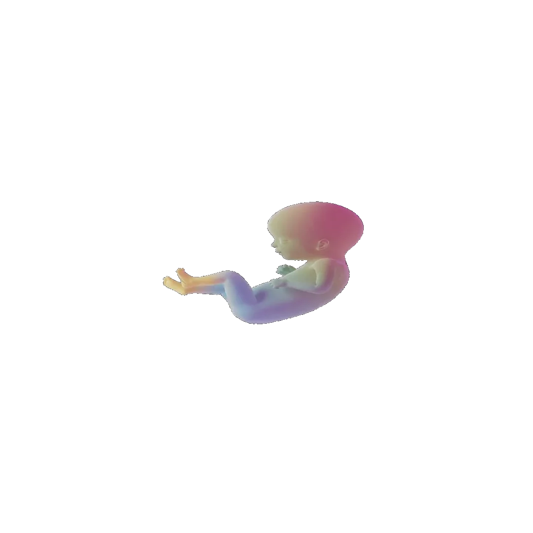 pregnancy tracker frame 70