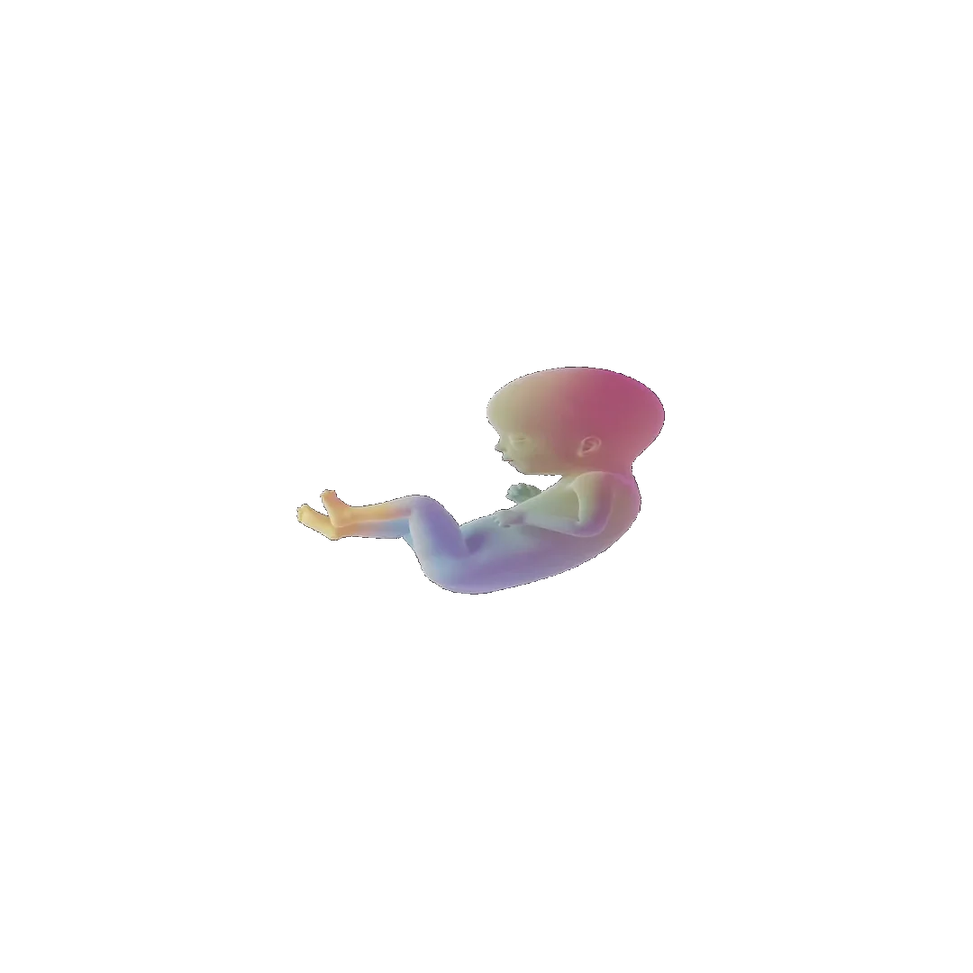 pregnancy tracker frame 71