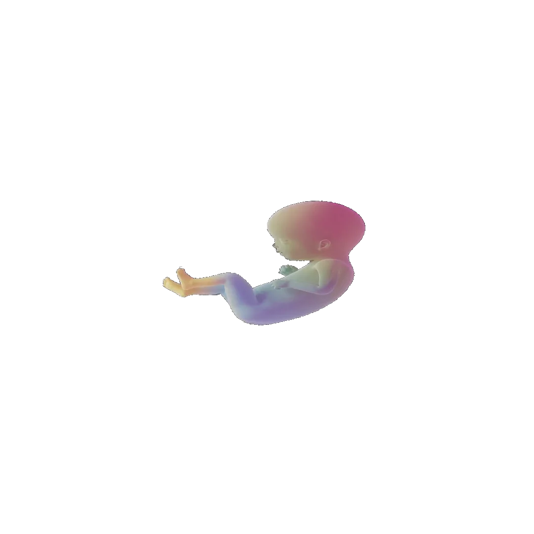 pregnancy tracker frame 72
