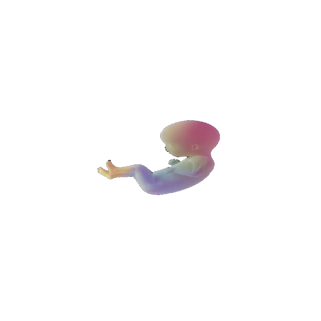 pregnancy tracker frame 73