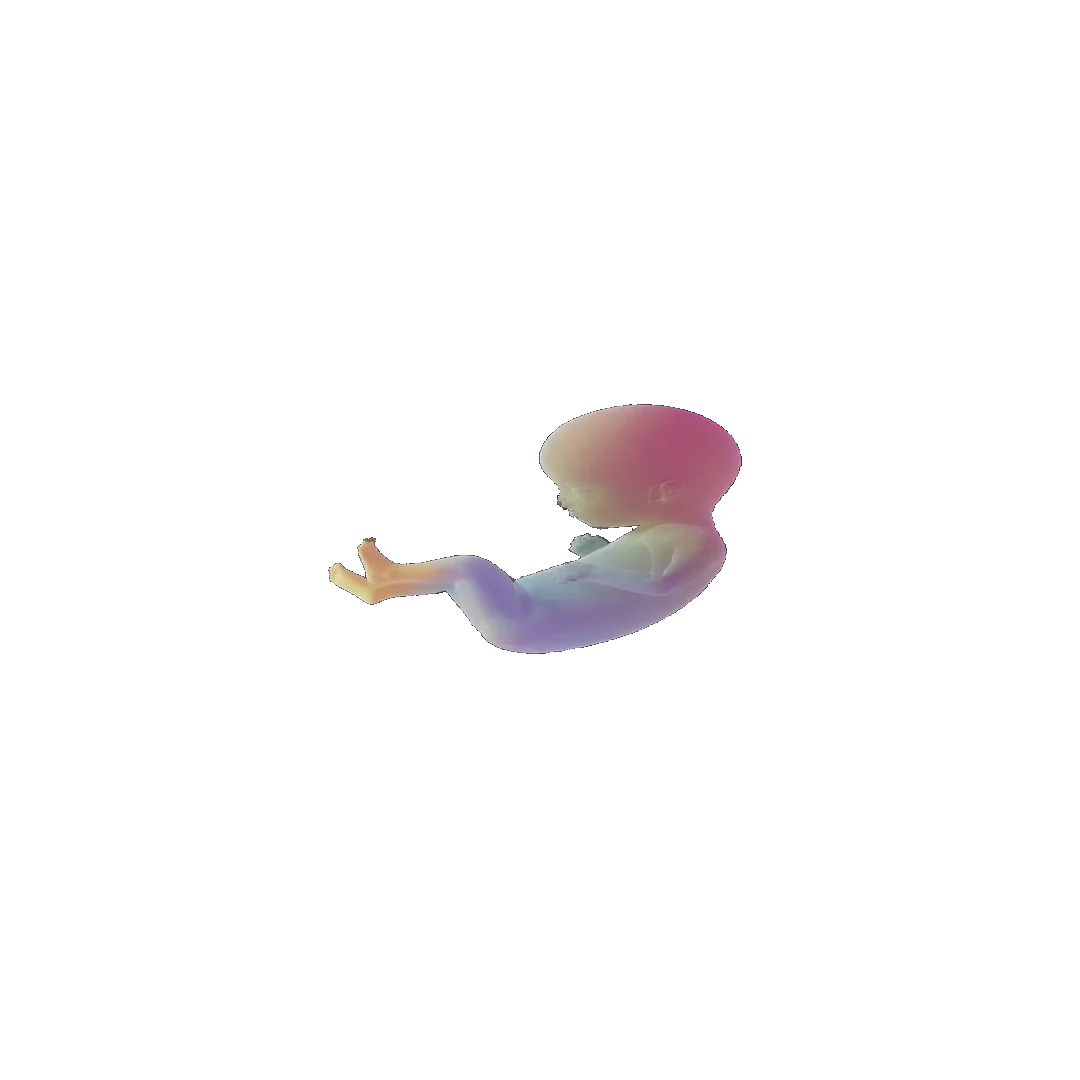 pregnancy tracker frame 74