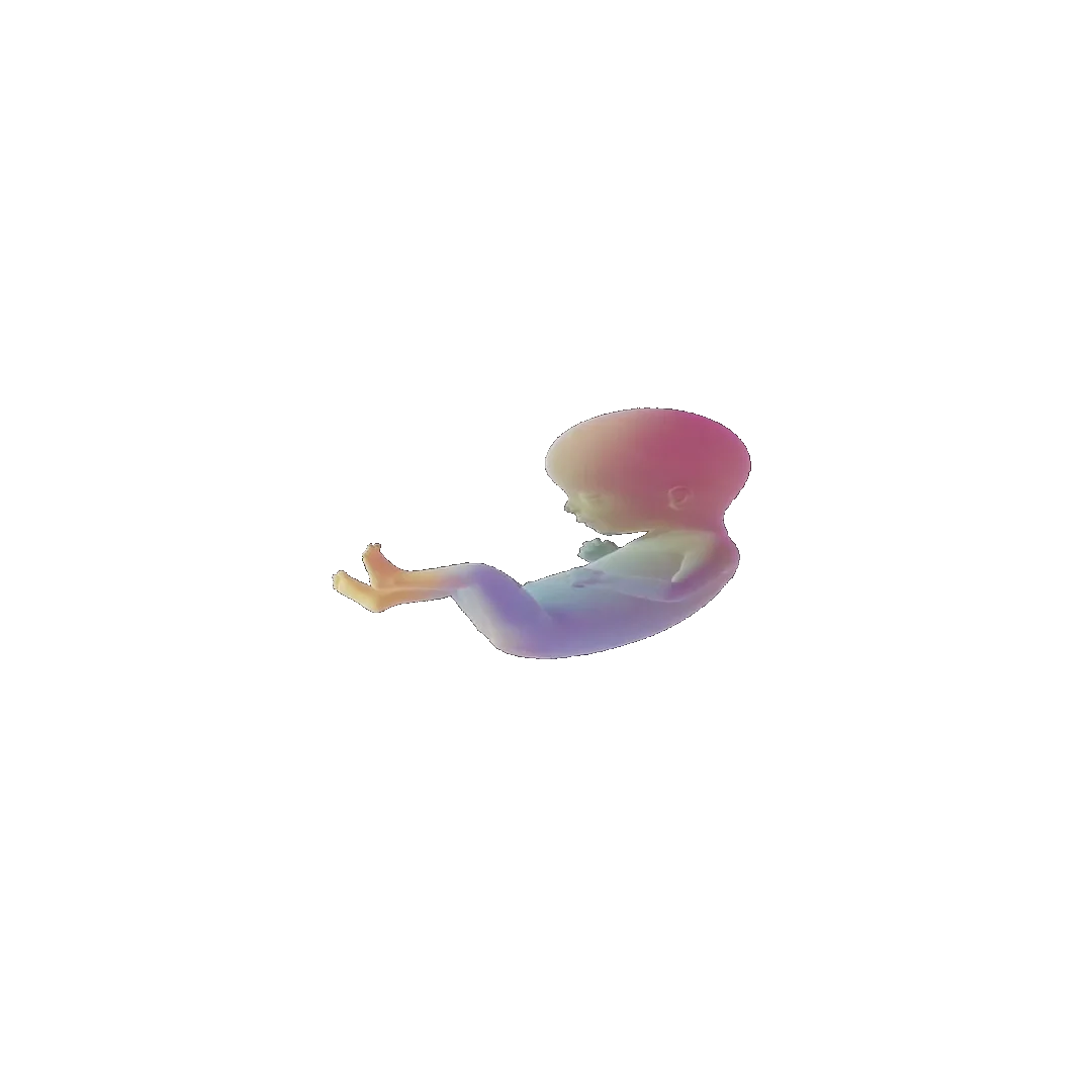 pregnancy tracker frame 75