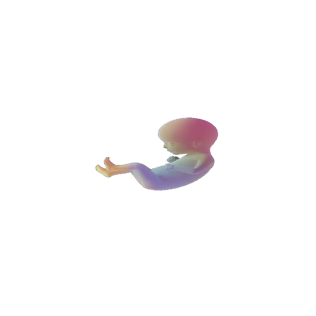 pregnancy tracker frame 77