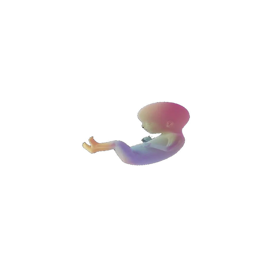 pregnancy tracker frame 79