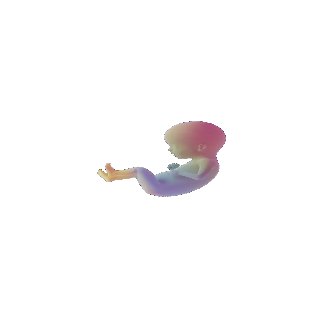 pregnancy tracker frame 80