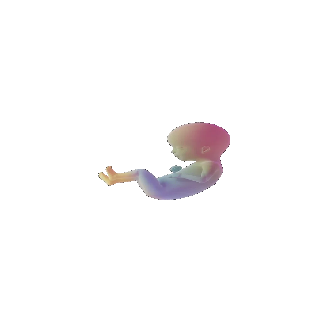 pregnancy tracker frame 82