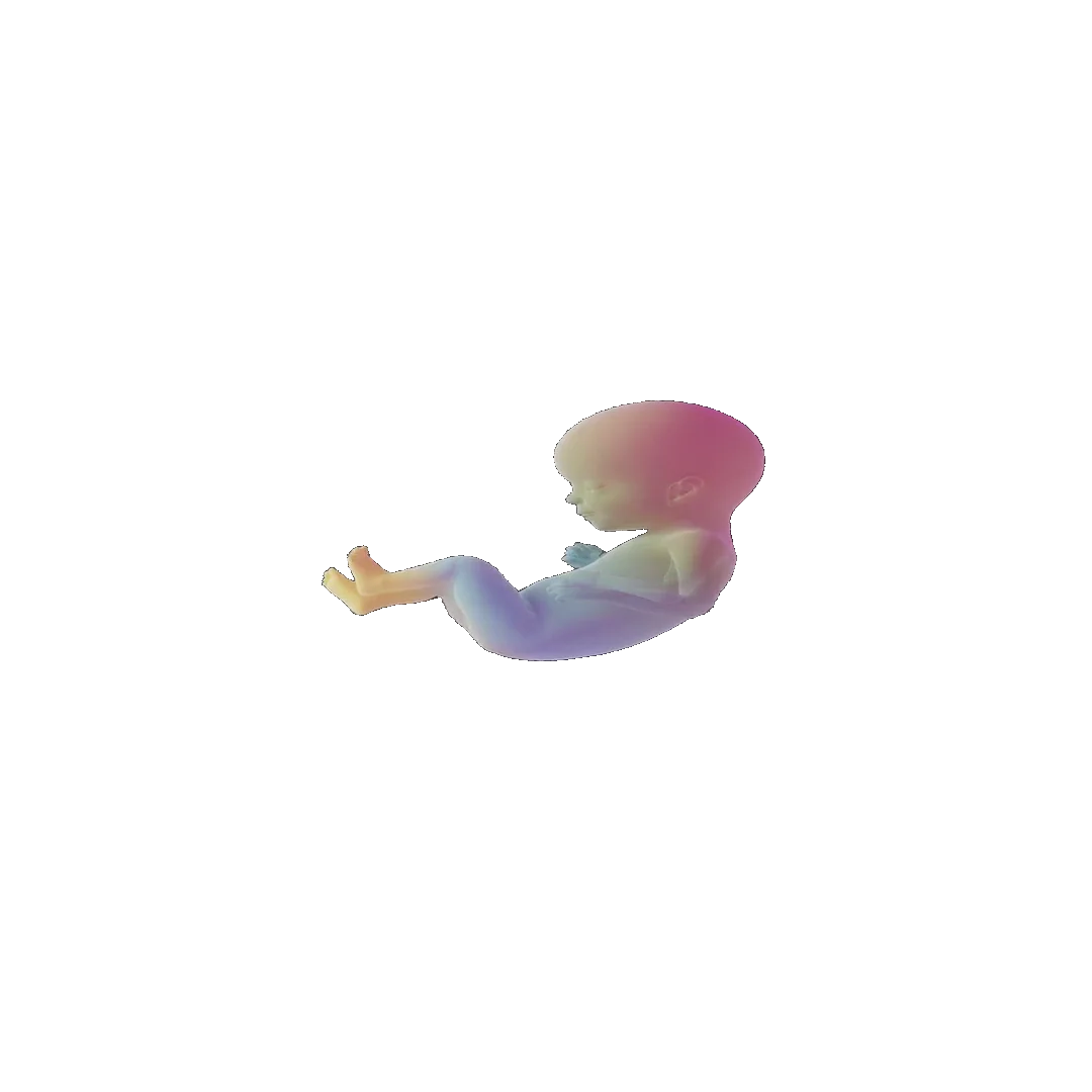 pregnancy tracker frame 84