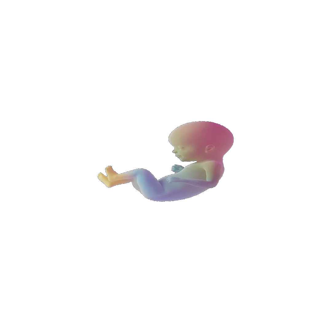 pregnancy tracker frame 86