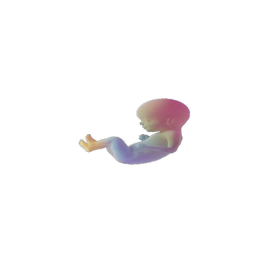 pregnancy tracker frame 87