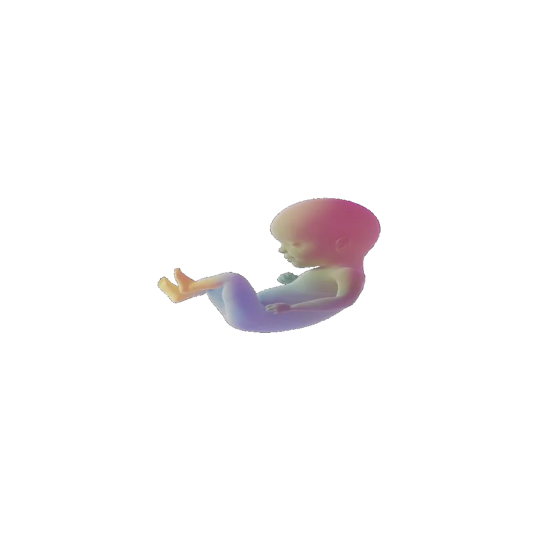 pregnancy tracker frame 90