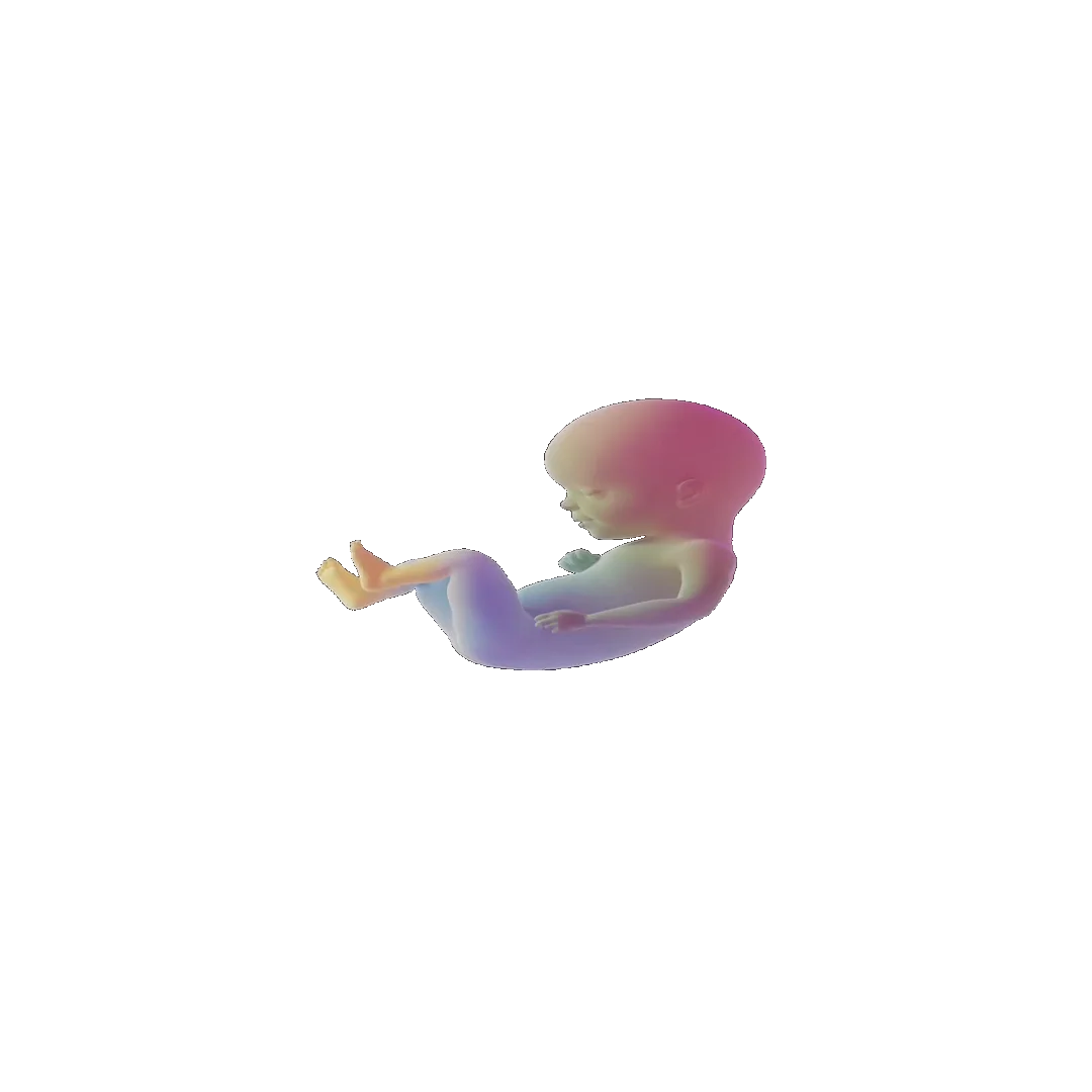 pregnancy tracker frame 91
