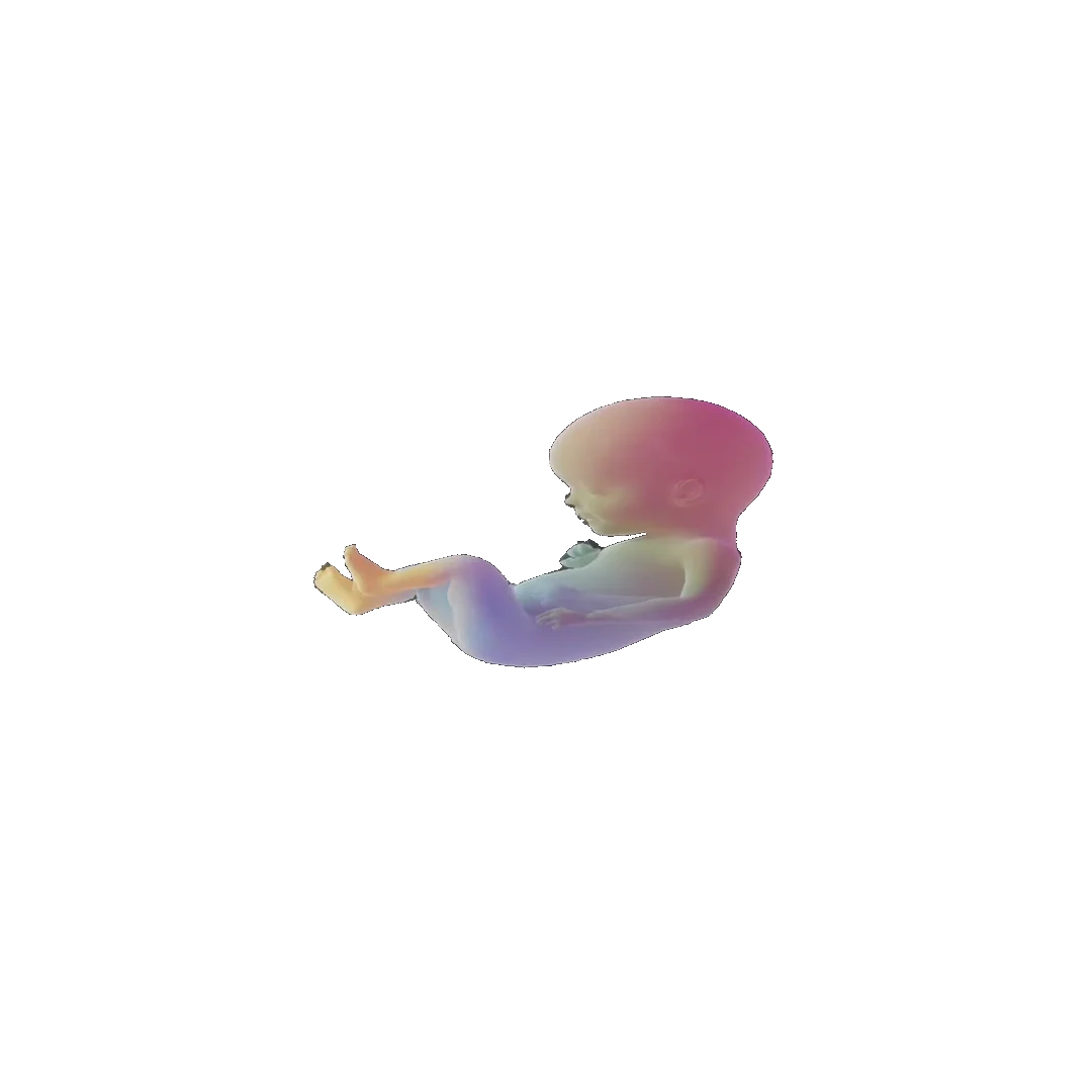 pregnancy tracker frame 93